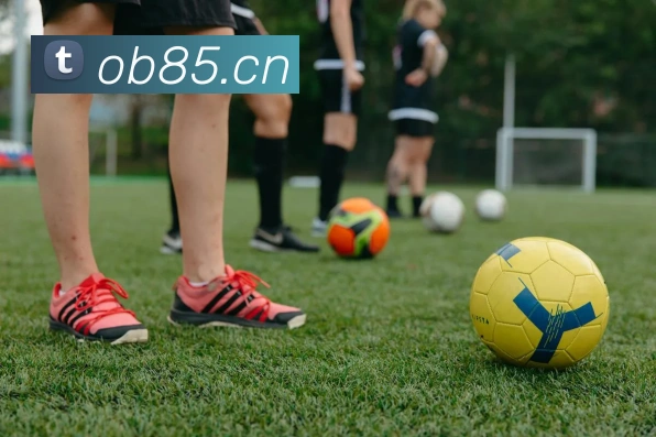 爱游戏ayx最新官网平台生态图